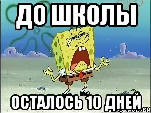 Останусь школа