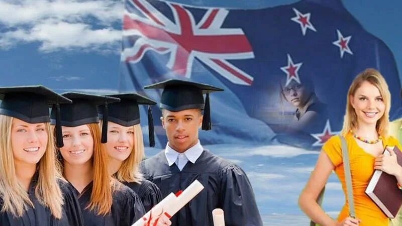Начальная школа в австралии. New zealand education. Старшая школа в новой зеландии. New zealand education. Высшее образование в австралии.