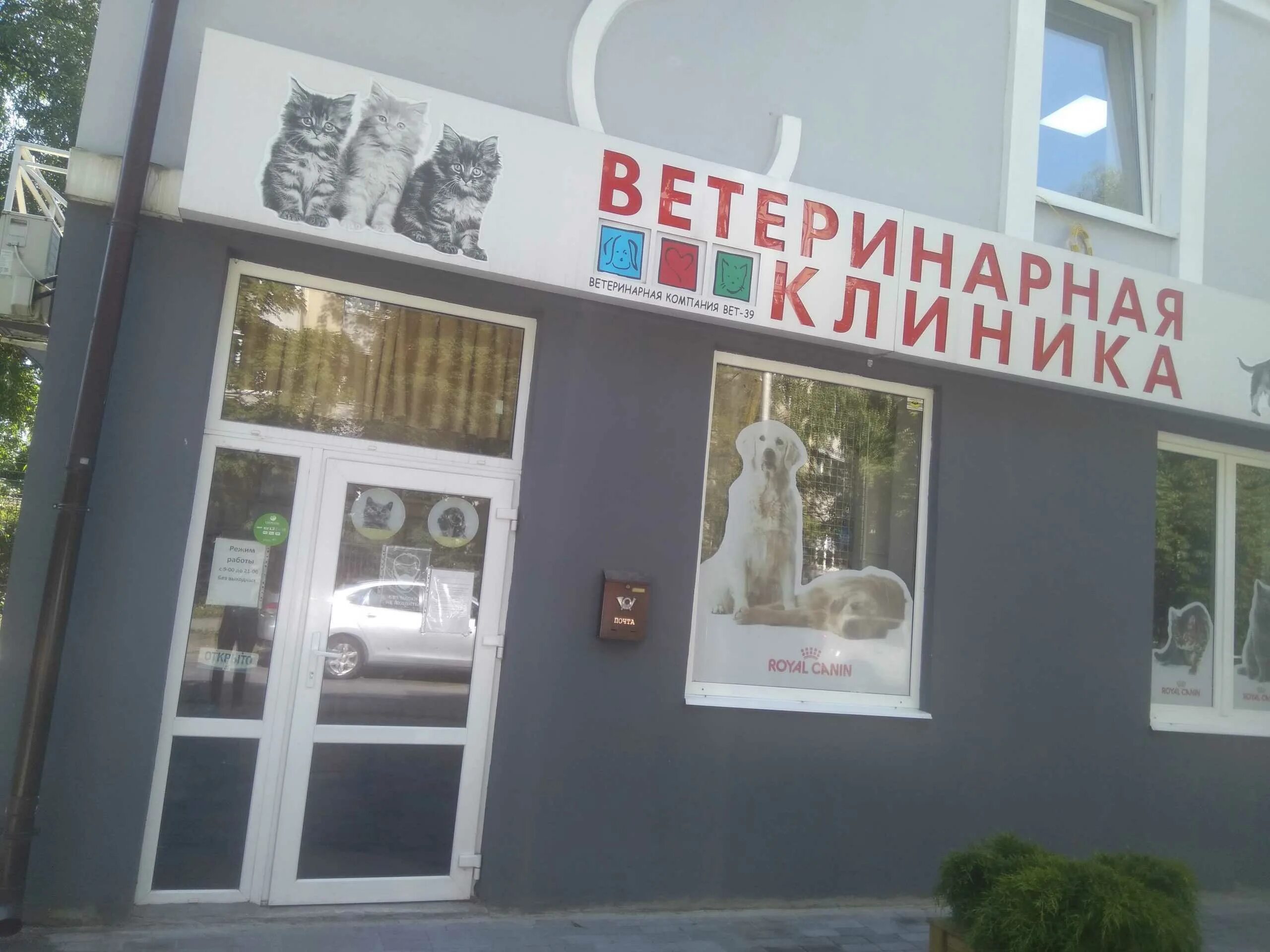 Вет39. Название для ветеринарной клиники. Вет39. Вет 39 на колхозной. Калининград колхозная 2.