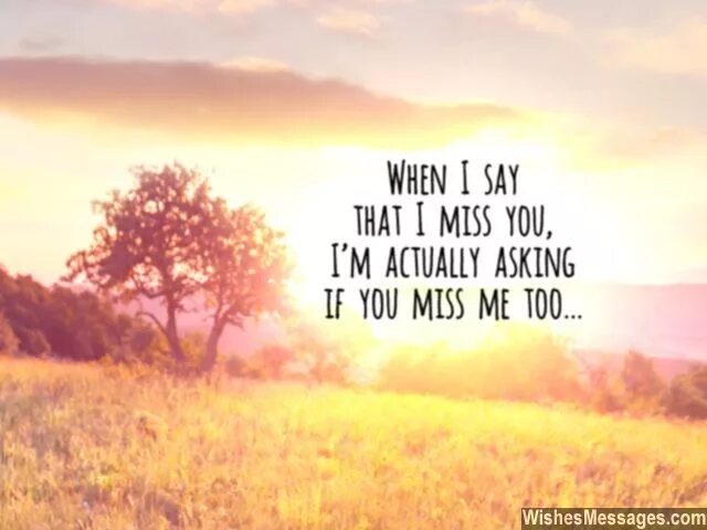 You don t miss me. Miss you. I really Miss you. I will Miss you картинки. Miss you quotes.