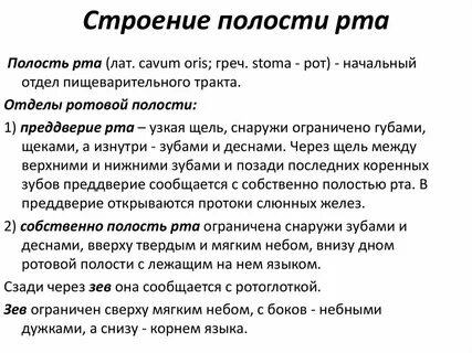 Полость речь