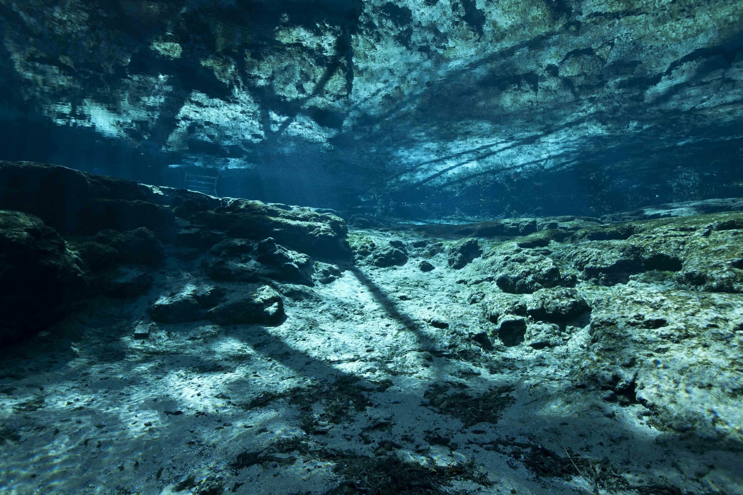 В океане есть река. Сенот Ангелита Мексика. Дно черного моря сероводород. Сероводород на дне черного моря. Подводная река в Сенот Ангелита Мексика.