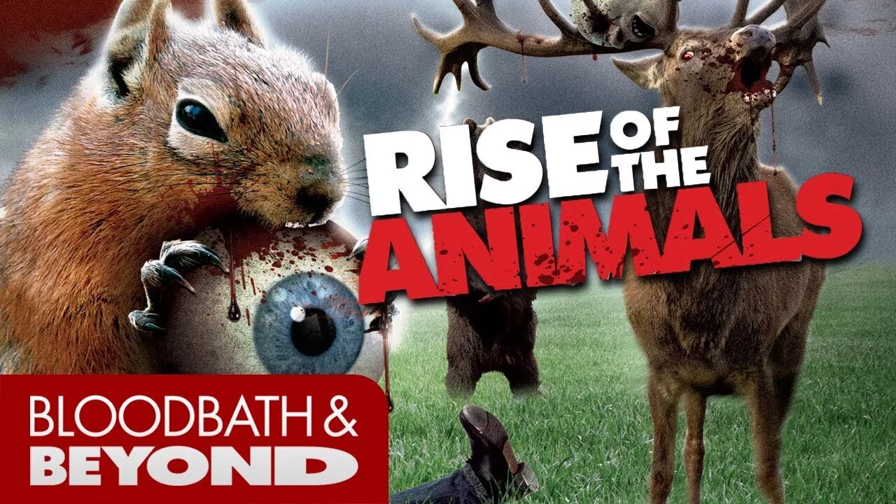 Rise of the animals. American animal (2011).