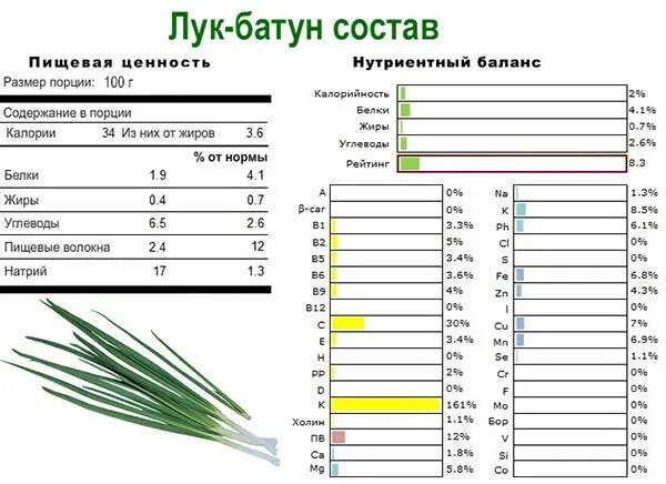 Зеленый лук батун состав. Лук батон химический состав. Пищевая ценность лук репчатый в 100 граммах. Лук зеленый калорийность на 100 грамм