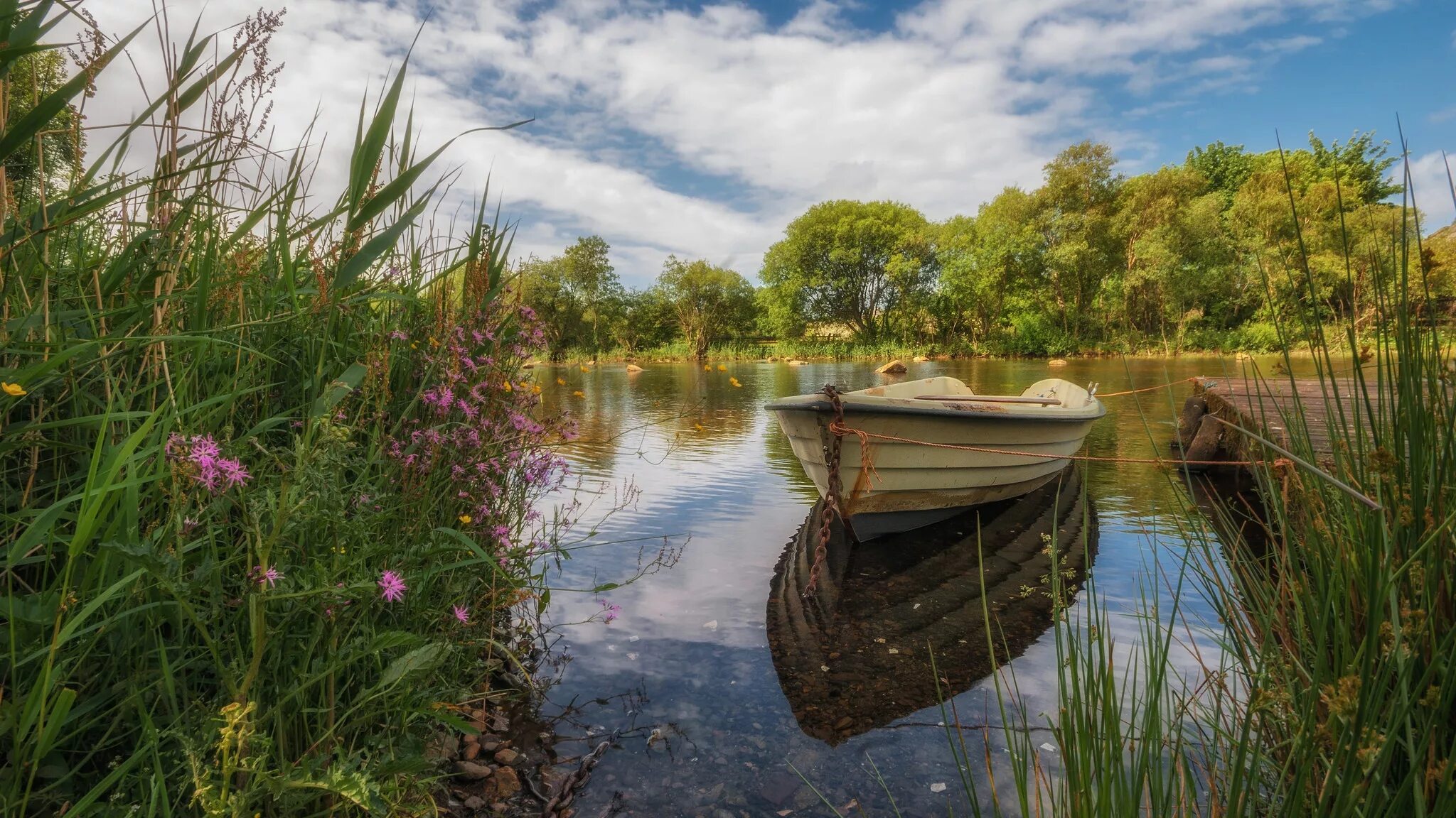 Озеро Тихая заводь. Речные лодки "River Boats". Лодка на берегу озера. Пейзаж с лодкой. Природа сома