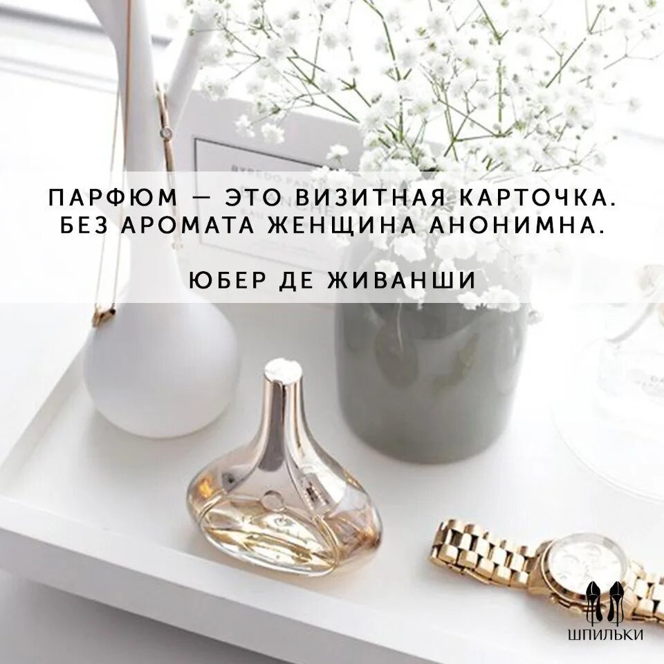 Афоризм про ароматы. Цитата про запах. Цитаты о духах и парфюмерии. Цитаты о парфюмерии. Высказывания про запахи.