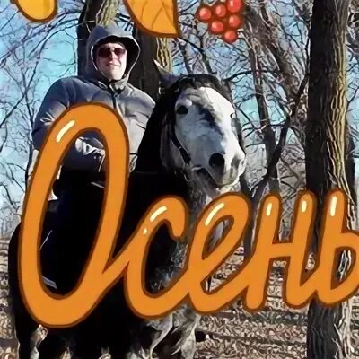 Ала мил
