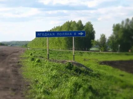 Ягодная поляна татищевский