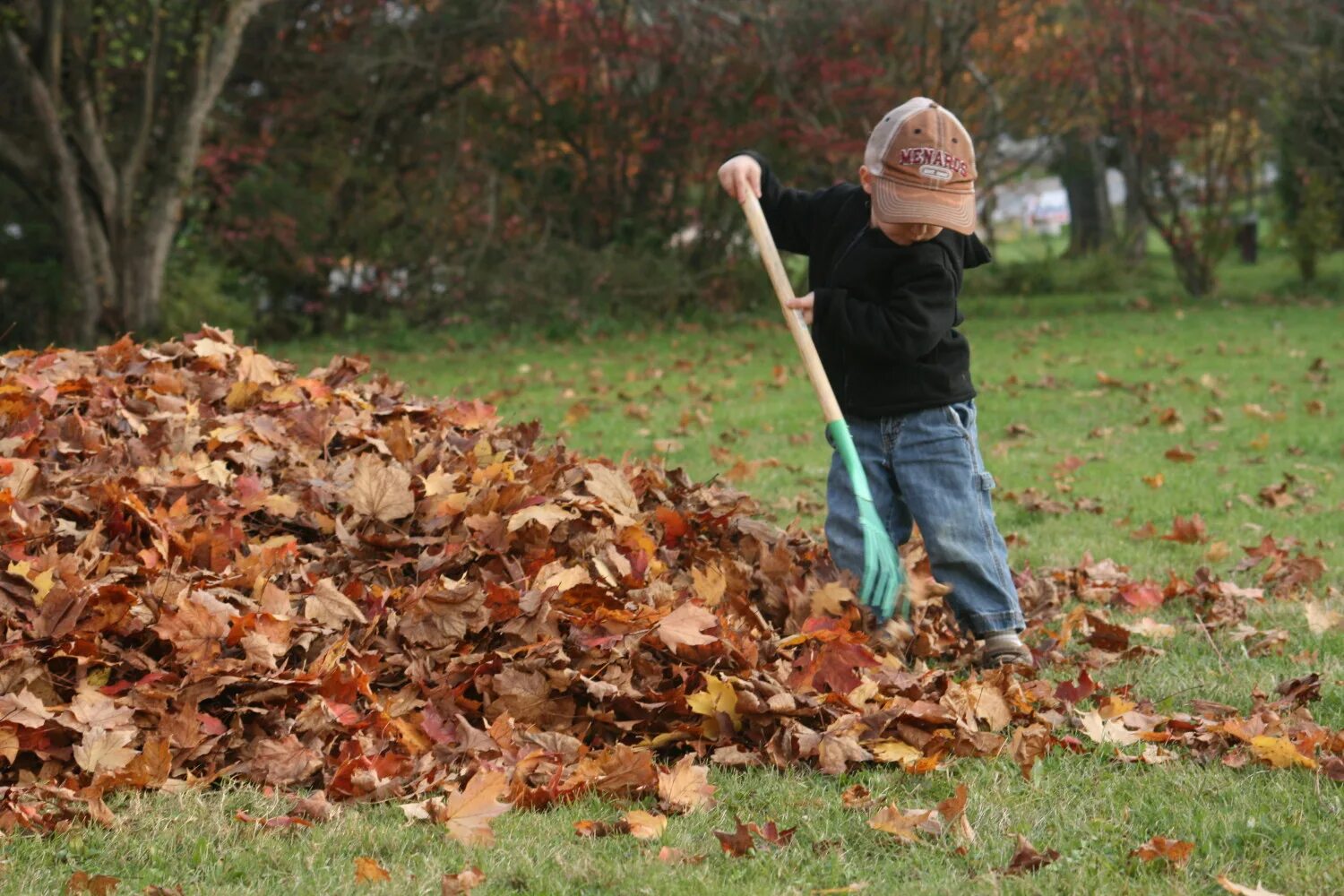Pick up leaves. Уборка листьев. Собирать листья. Сгребать листья. Уборка листьев осенью.