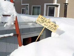 Лоси, снег и прекрасные люди: 10+ забавных фото о том, как живется в Канаде