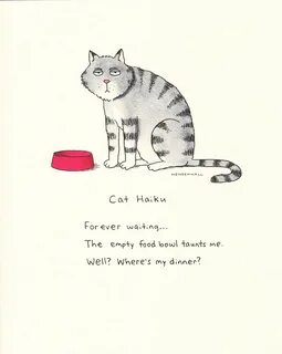 Empty cat