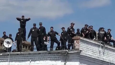 Бунт взрослых новенькие