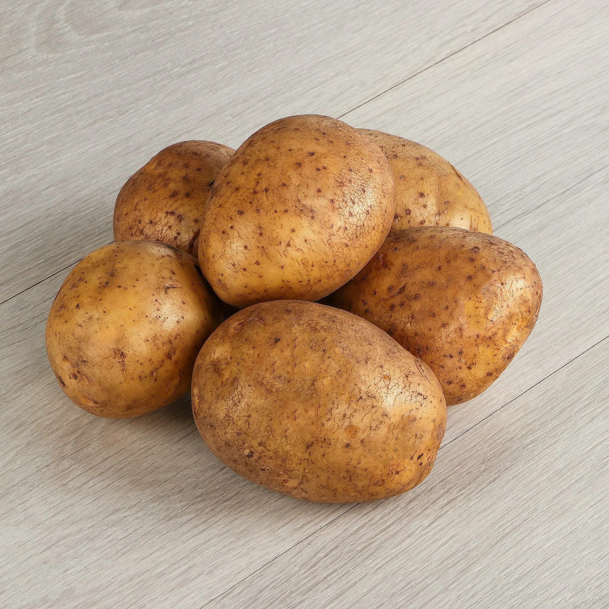 Бел картофель бел. Картофель белый крупный. Картошка на белом фоне. Бел картофель бел. Белый картофель 1 кг.