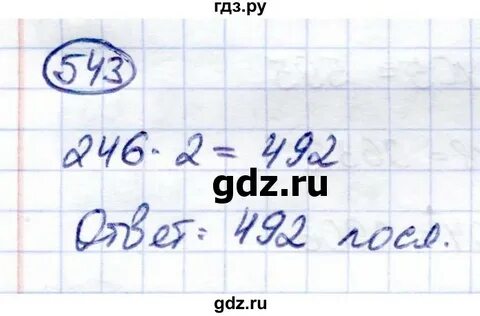 Русский 6 класс упражнение 543