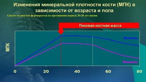 Плотность кости