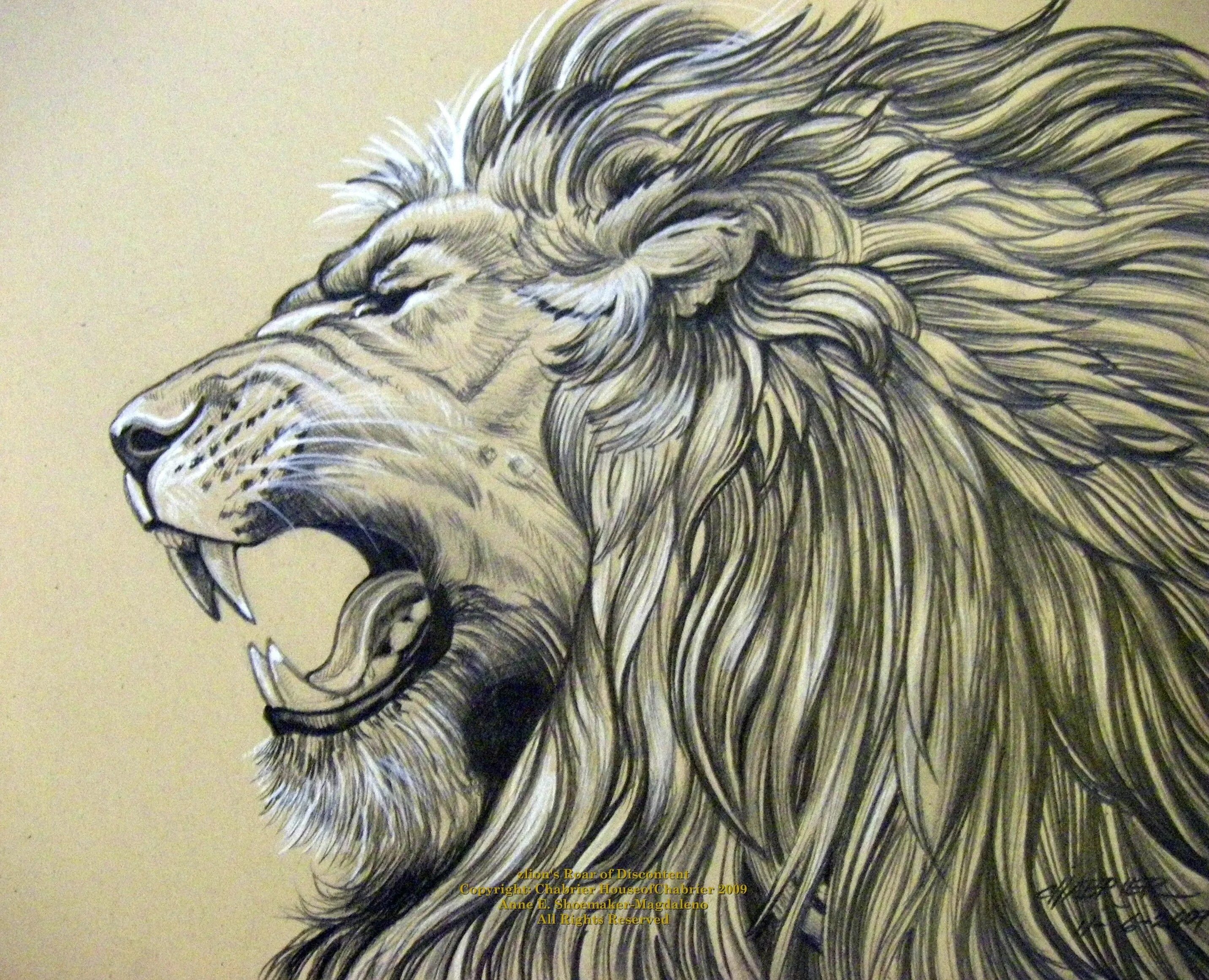 Голова Льва. Лев эскиз. Голова Льва в профиль. Стилизованная голова Льва.