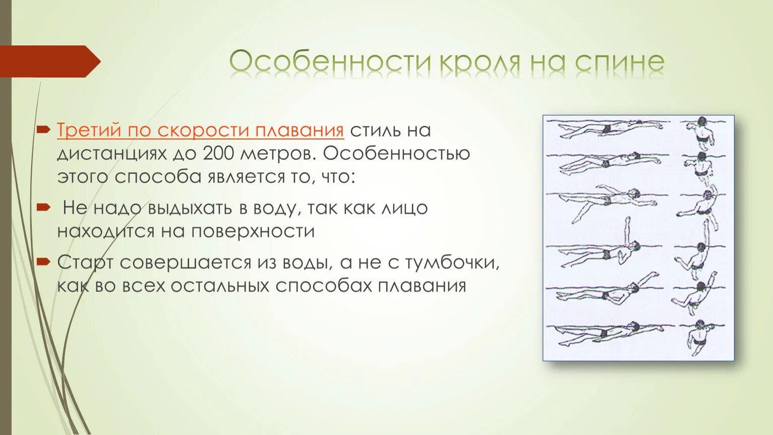 Кинематика плавания кроль. Скорость плавания кролем. Скорость плавания кролем. Силы, действующие на пловца при статическом плавании. Стиль плавания кроль.