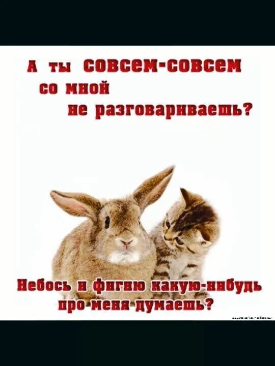 Я совсем забыла бывшего. Ты чего со мной не разговариваешь. совсем совсем со мной не разговариваешь. ты совсем со мной не разговариваешь. сидишь молчишь всякую фигню про меня думаешь.