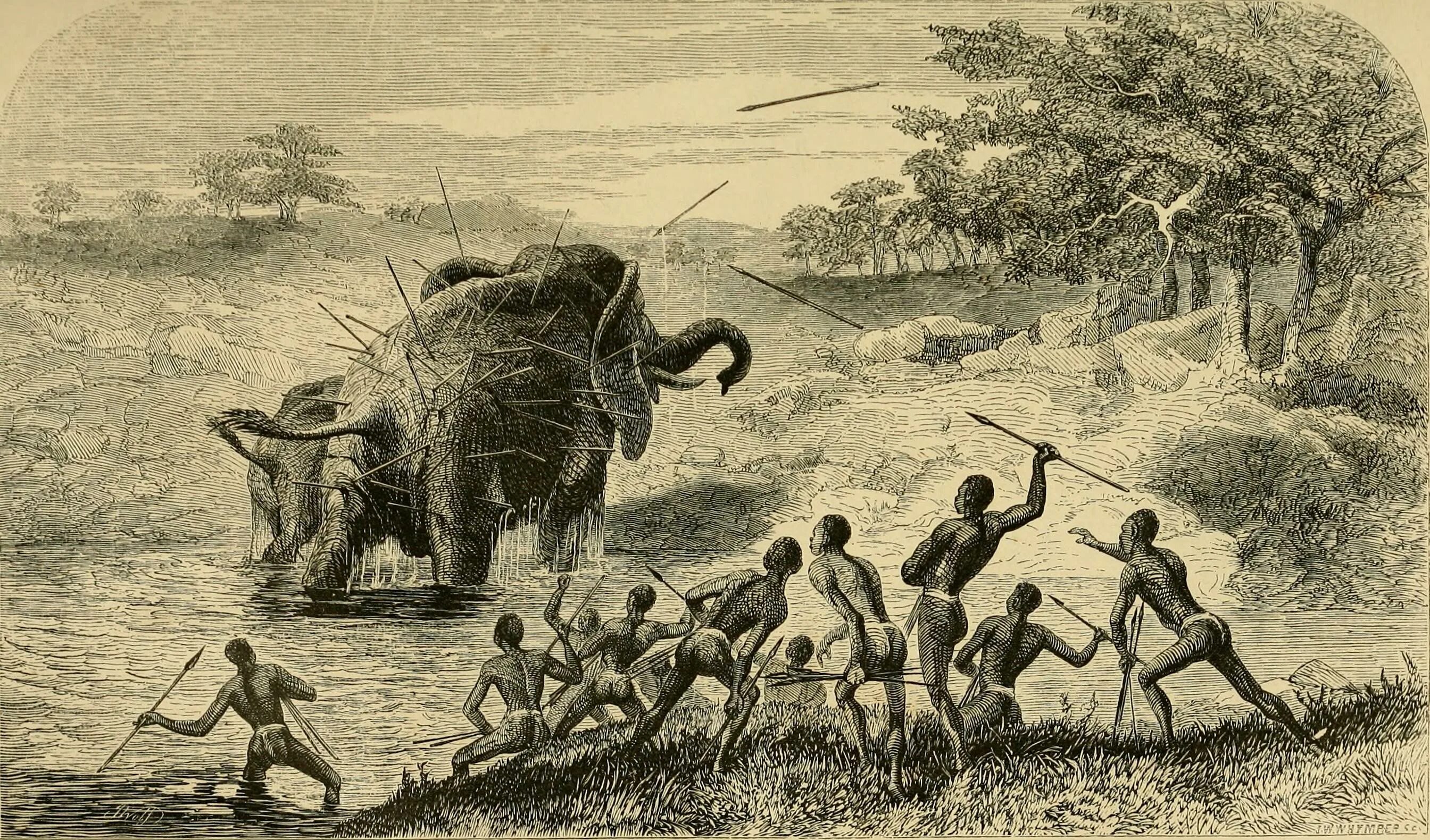 Коллективная охота древних людей. Охота пигмеев Африки 19 века. Охота древних людей. Первобытные охотники и собиратели. Загонная охота на мамонта.