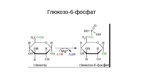 6 фосфат