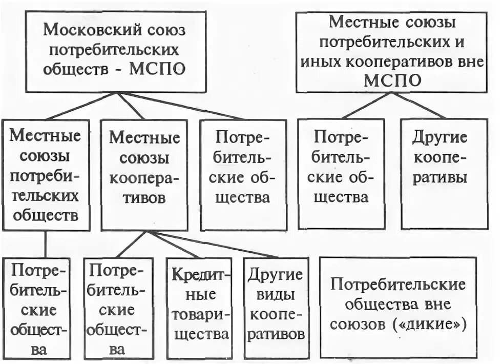 Московский Союз потребительских обществ. Развитие потребительской кооперации в конце 19 столетия. Структура потребительского общества. Потребительские общества в России. Кооперация структура