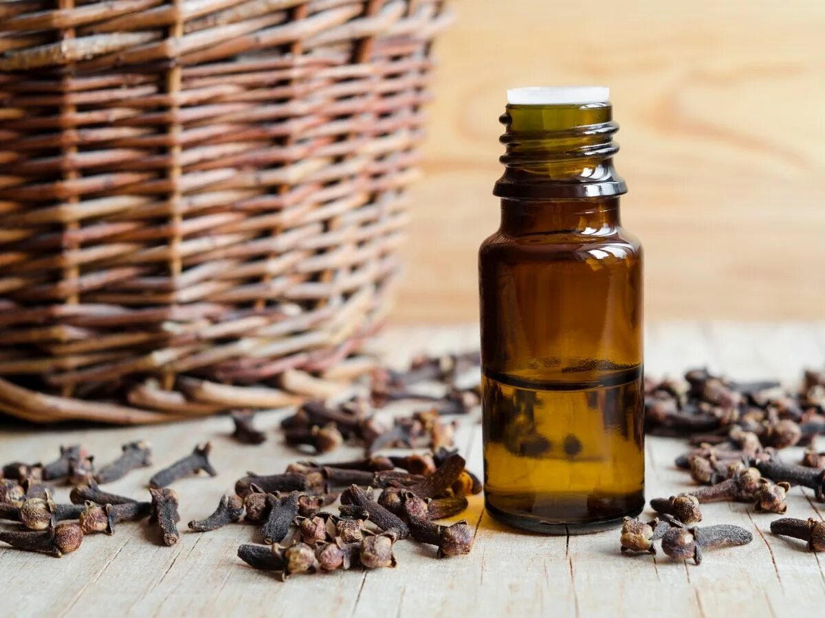 Эфирное масло гвоздика. Гвоздичное масло. clove bud эфирное масло. эфирное масло гвоздики, 10 мл. гвоздика эфирное масло дотерра.
