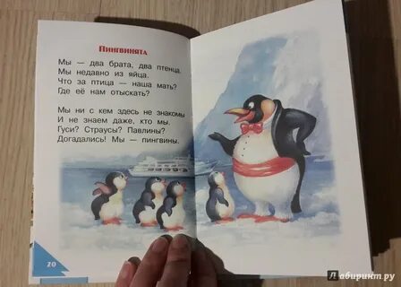 Книга вот они какие