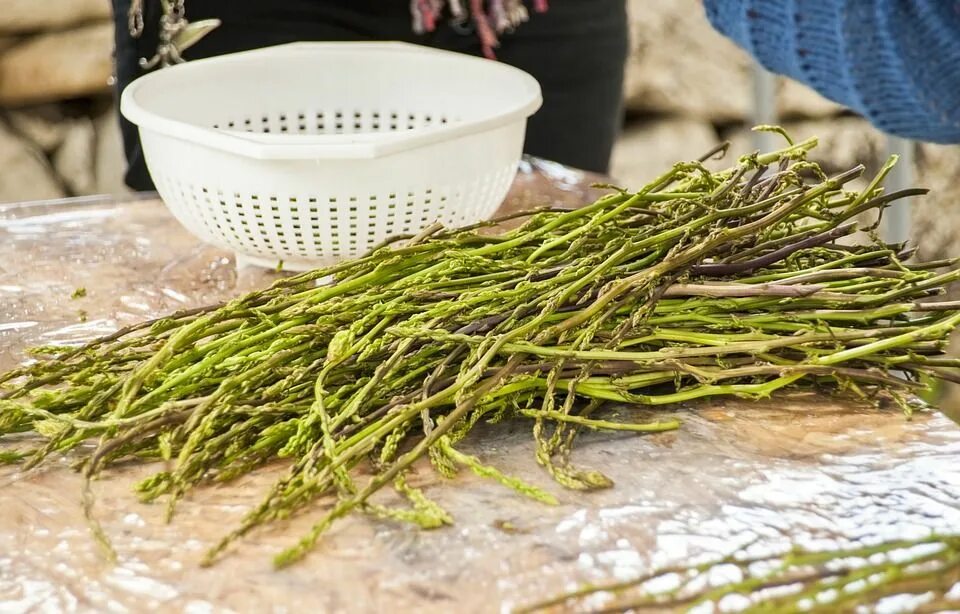 Foraging from the Car Divina Cucina