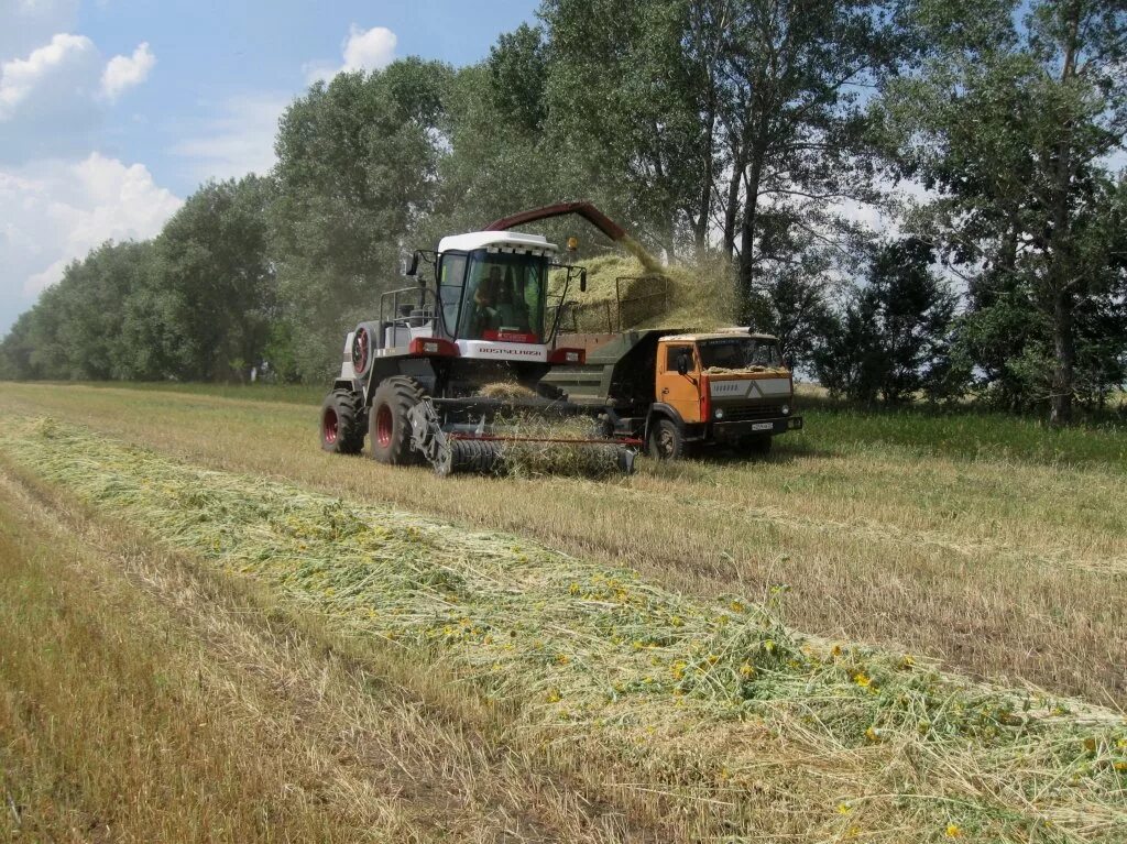 Комбайн 680м. Дон-680 комбайн. комбайн дон 680 м. кормоуборочный комбайн ростсельмаш дон 680м. ускоритель комбайна дон 680.