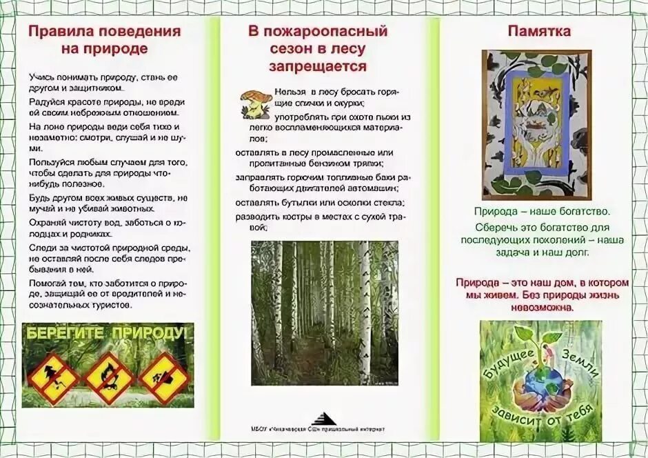 Буклет правила поведения на природе. Памятка о защите природы. Буклет правила поведения в лесу. Брошюра по охране природы.