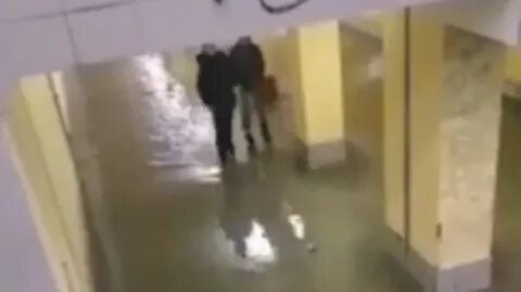 Видео протекла