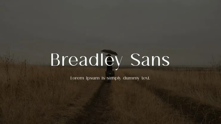 Sans serif шрифт. Шрифт бесплатный bosch sans black. Oleg sans шрифт. Oleg sans шрифт. Mi sans font.