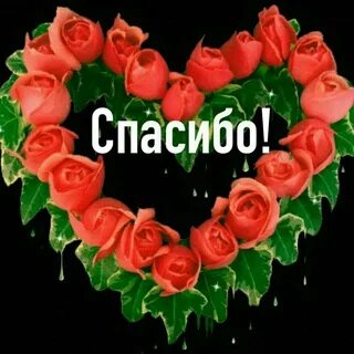 Гифы доброму сердечку