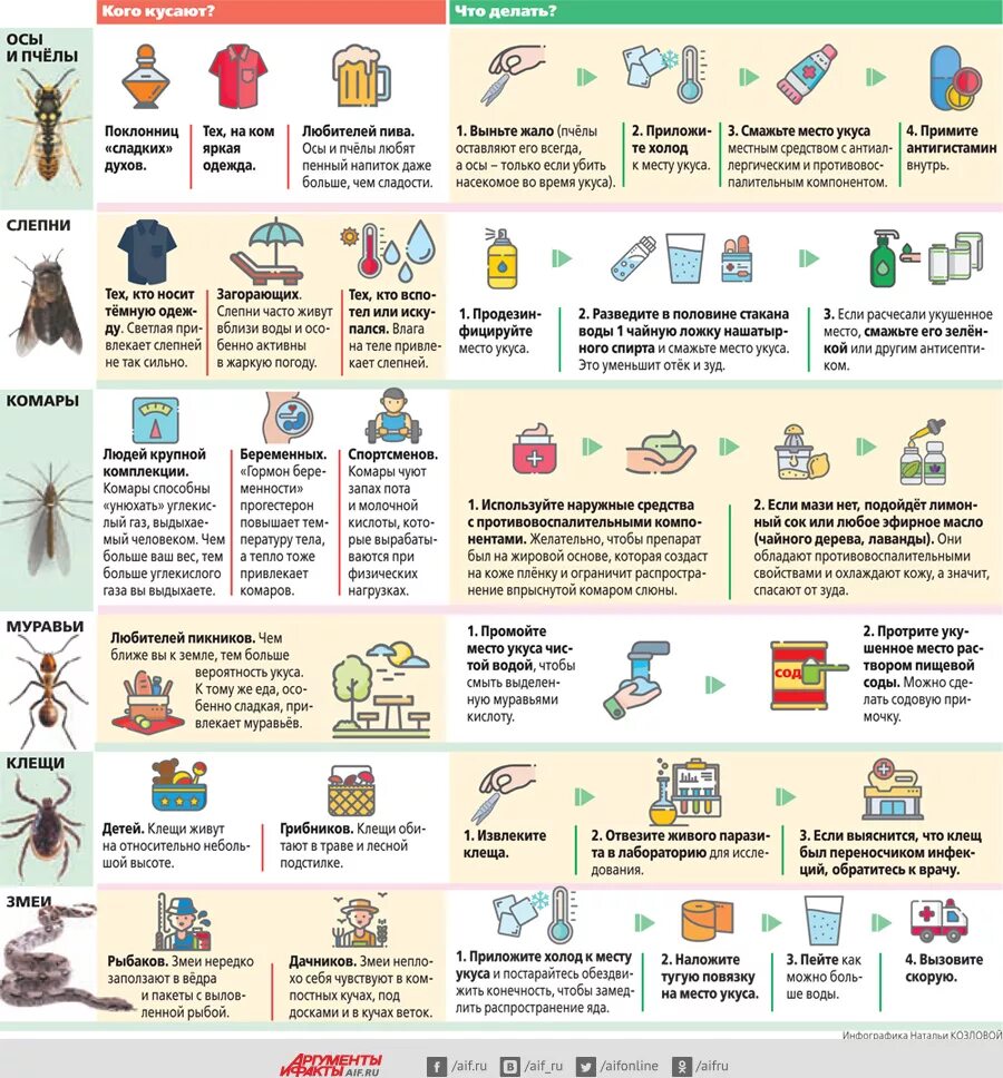 Как избежать укуса осы. Что челать приукусе пчелы. Первая помощь при укусе пчелы. Сото делать при укусе пчелы. Памятка при укусах насекомых.