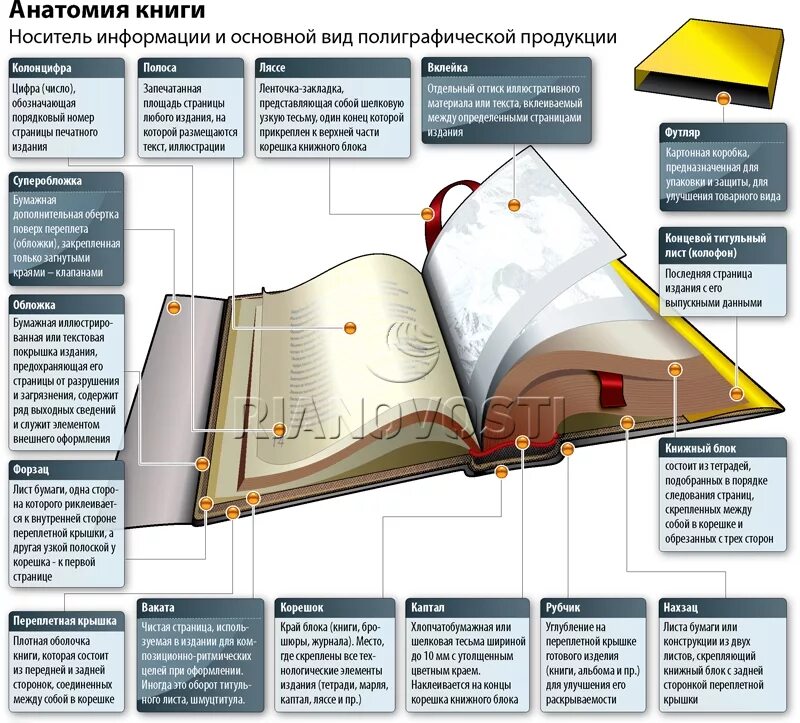 Какую книгу называют книга книг. Как правильно называются части книги. Обратная сторона книги как называется. Анатомия книги из чего состоит книга. Элементы книги.