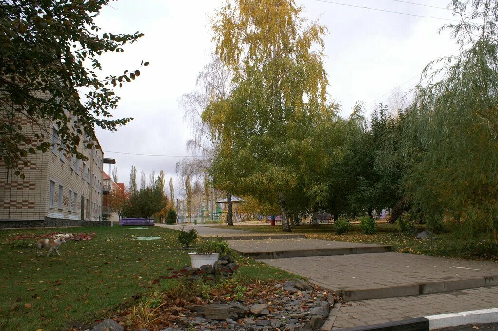 дубравушка детский лагерь белгородская область. санаторий дубравушка белгородская область корочанский район. дубравушка санаторий белгородская область 2020 год. санаторий дубравушка корочанский. санаторий дубравушка белгородская область корочанский.