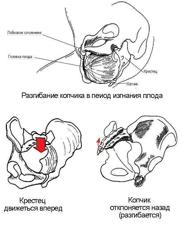Боль в прямой кишке при сидении