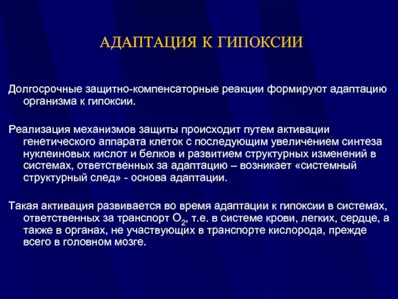 Изменение реакция адаптация. Адаптация к гипоксии. механизмы адаптации к гипоксии. адаптация организма к гипоксии. экстренная и долговременная адаптация организма к гипоксии.