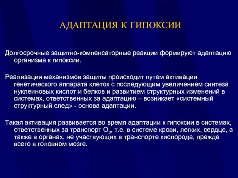 Адаптация к гипоксии. Механизмы адаптации к гипоксии. Адаптация организма к гипоксии. Экстренная и долговременная адаптация организма к гипоксии.