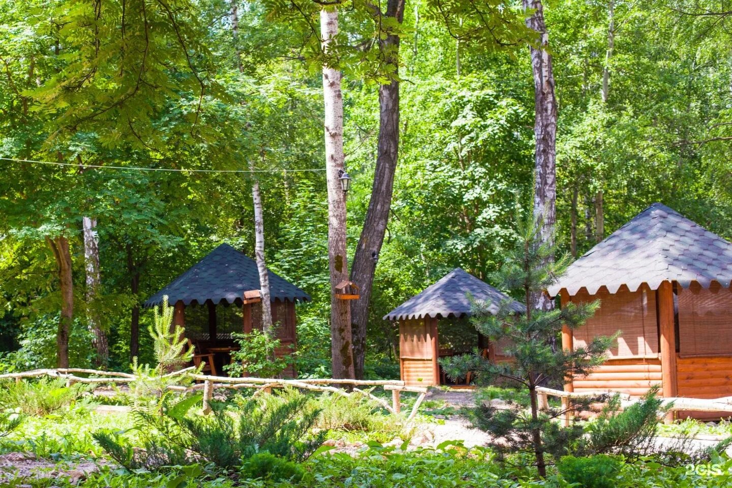 Forest rest