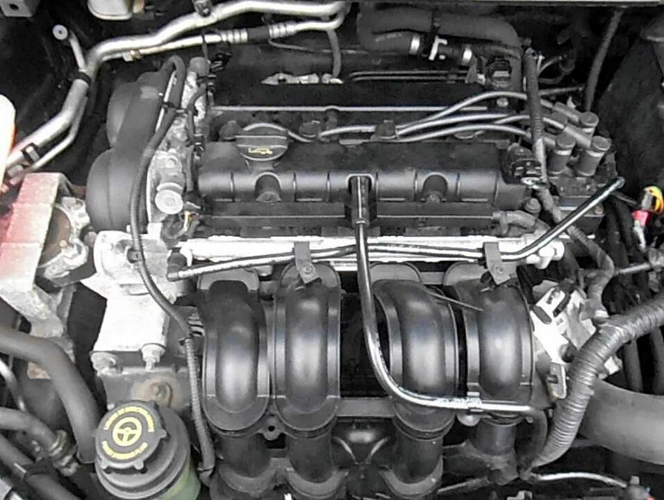 ДВС Форд фокус 2 1.6. Двигатель Форд фокус 2 1.6. Движок Форд фокус 2 1.6. Форд фокус 2 1.6 100 л.с. Двигатель фокус 2 115 купить