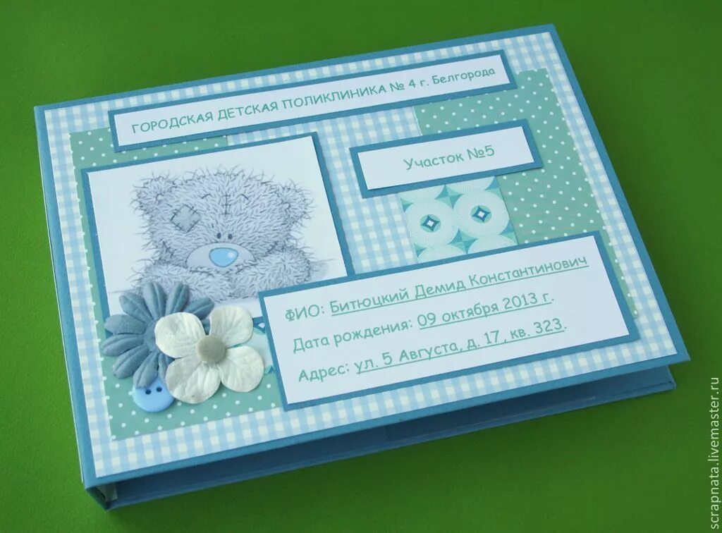 Оформление детской карты при рождении ребенка Pikabu Медицинская карта A5 (14.8 × 21 см), листов: 220 купить с доставкой по