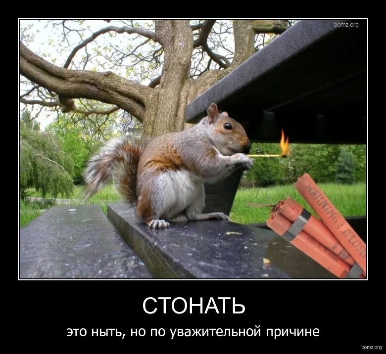 Ласки мужчины и женщины. Страстные любовные сцены. Удовольствие для мужчины. Стонать это. Стонать это.