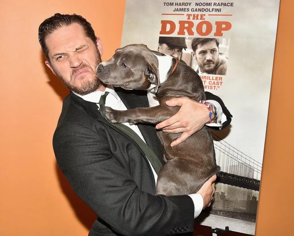 Toms dog. Toms dog. Toothy thomas dog. Щенок тома харди. Том харди с собакой общак.