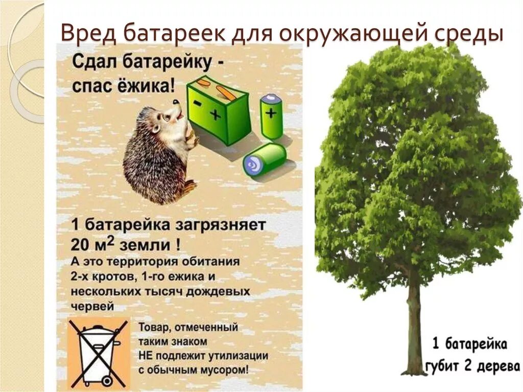 Какой вред приносит окружающей среде. Вред батареек для окружающей среды. влияние батареек на окружающую среду. вред батареек для окружающей среды и человека. батарейки экология.