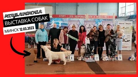 Выставка собак минск