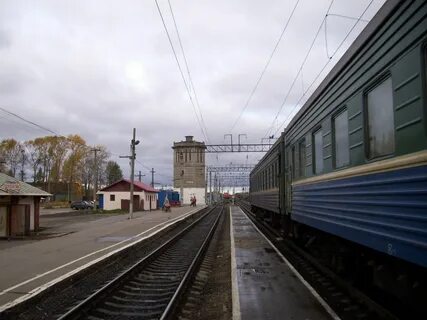 Погода в обозерске