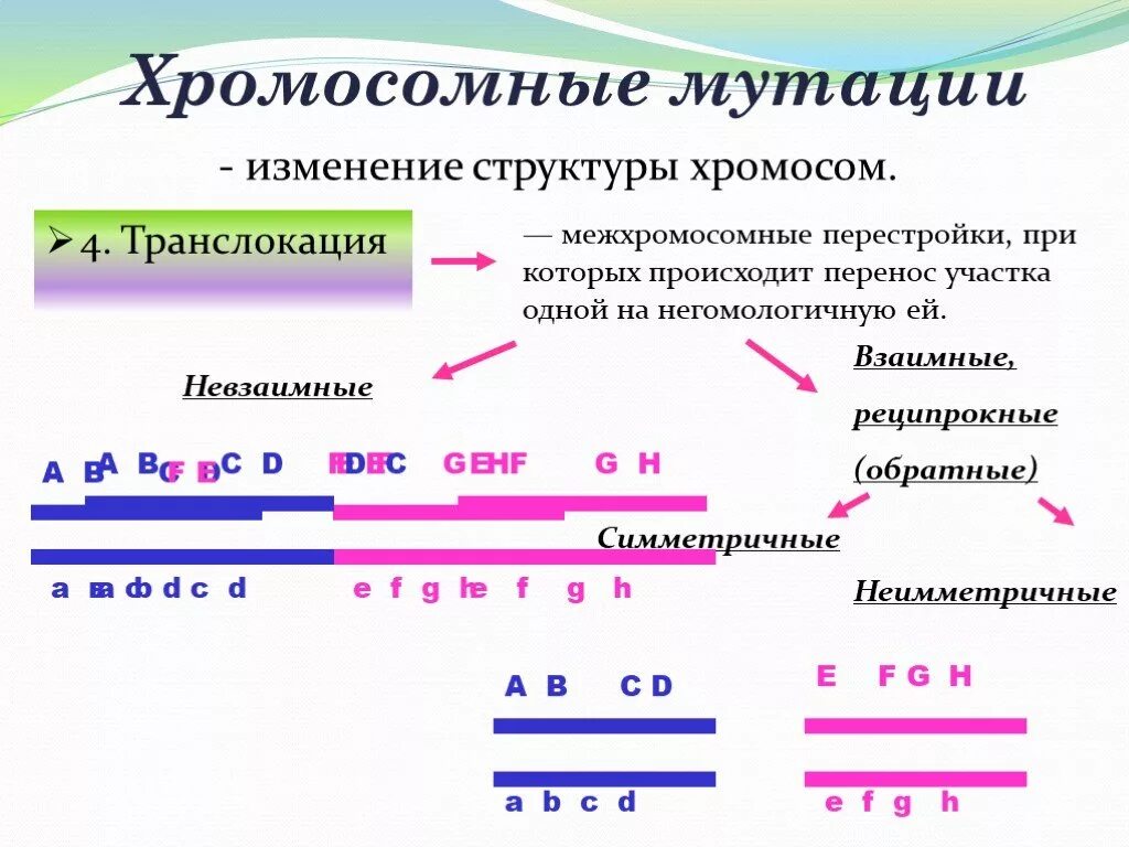 Изменение количества хромосом мутация. Хромосомные мутации. Структурные хромосомные мутации. Хромосомные мутации примеры. Хромосомные мутации это изменение.