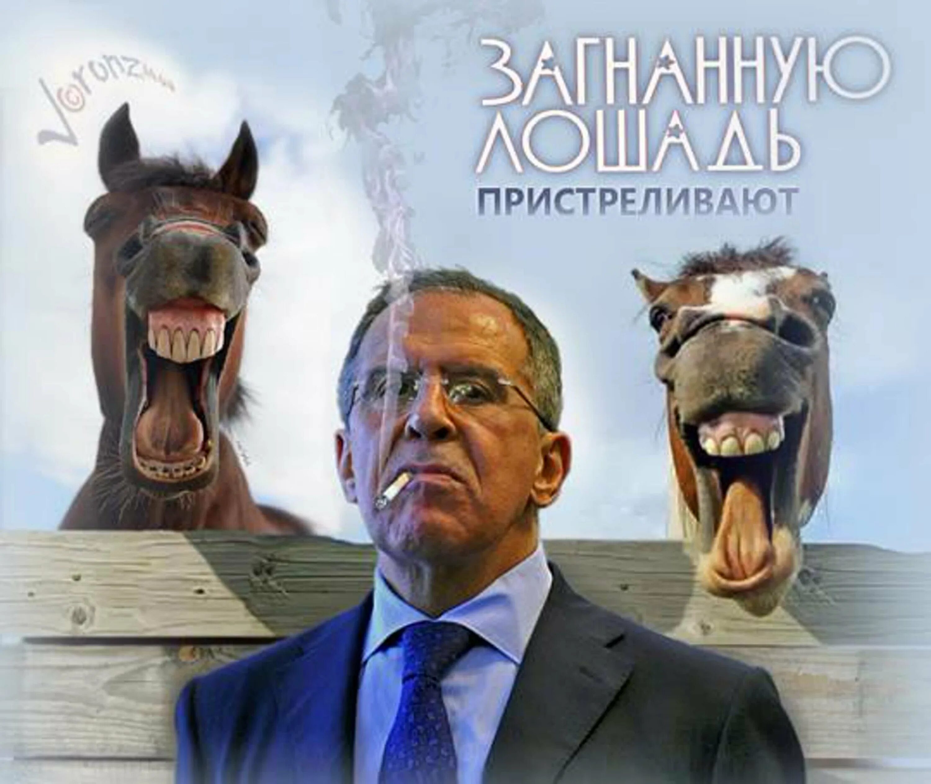 Глуп как сивый мерин