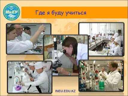 Сколько лет надо учиться на ветеринара